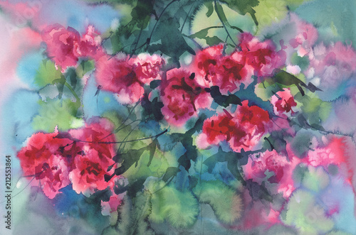 violet roses in green background watercolor
