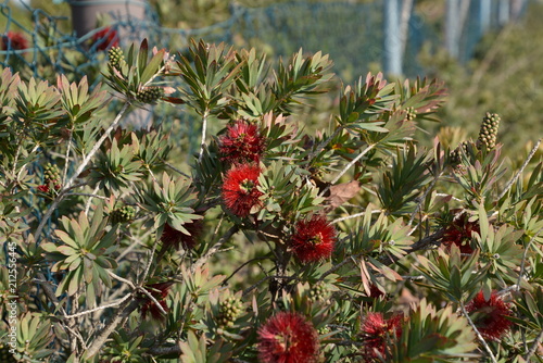 Herzliya Park
 photo