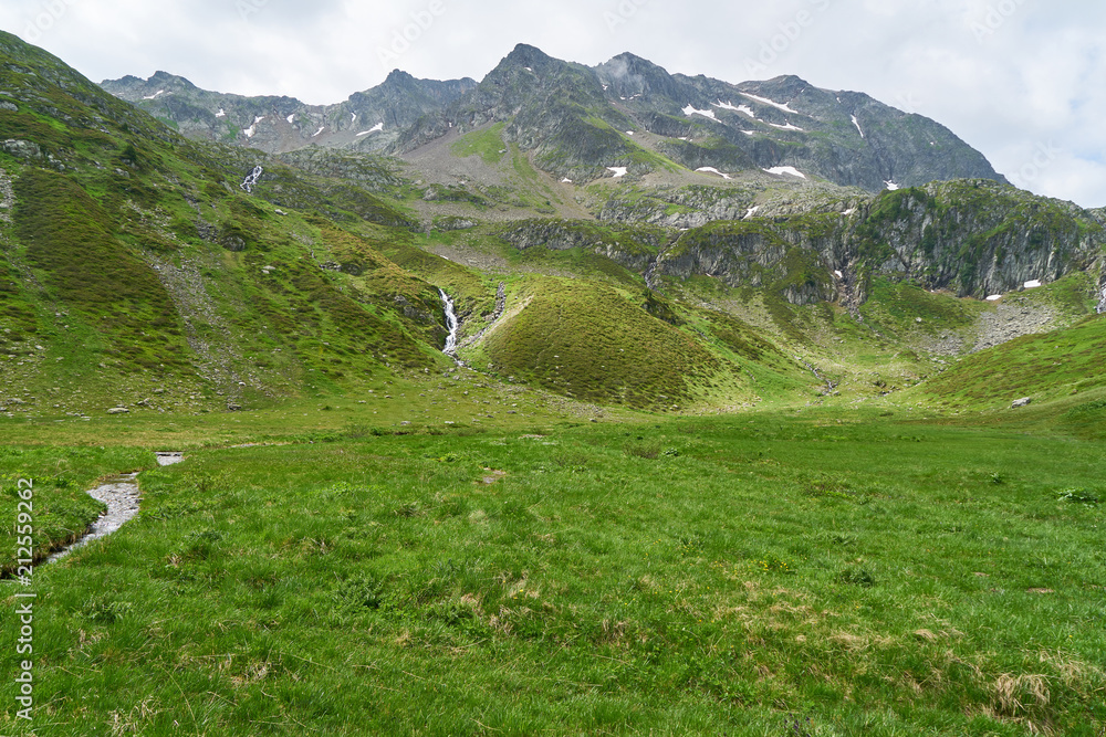 Grüne Wiese vor Berg in den Alpen