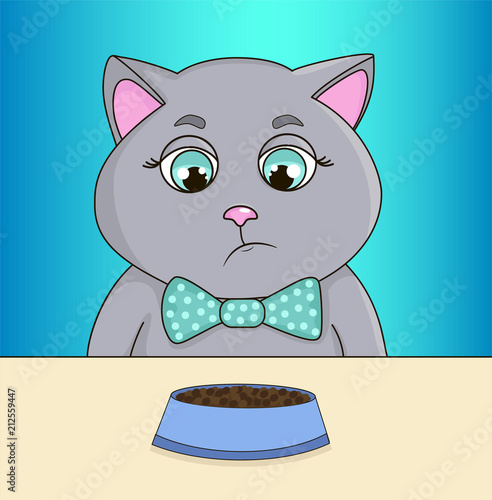 Sad cat refuses to eat food