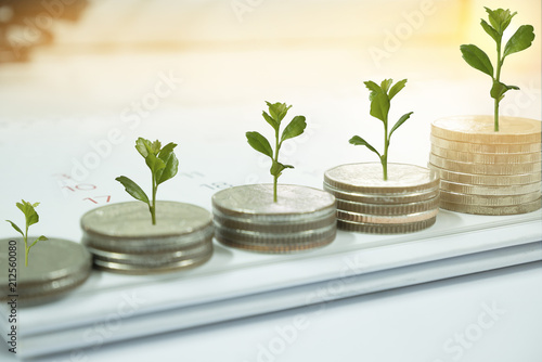 Coin with tree in mutual funds concept.