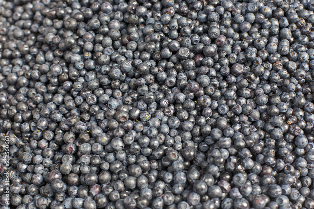 fresh blueberries abstract fruit colorful pattern texture background fresh blueberries abstract fruit colorful pattern texture background