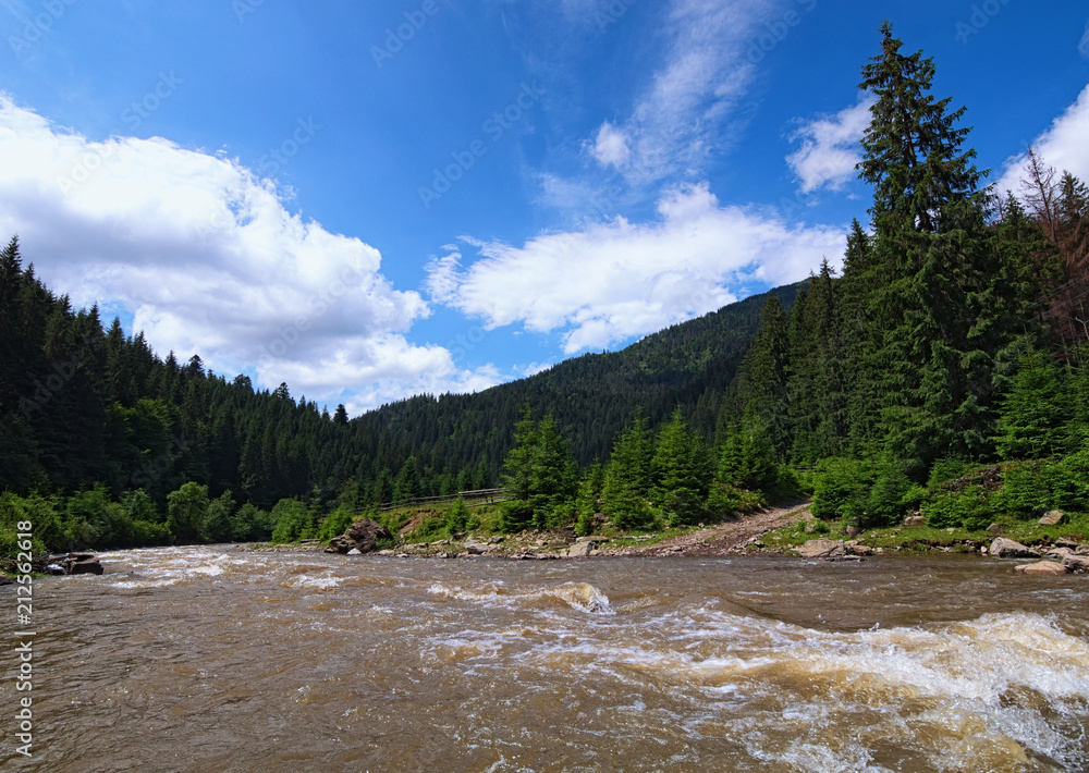 Mountain fast river through the forest. Magical scenery of forest and river with rocks. Summer landscape photo. Zakarpatska oblast, Ukraine