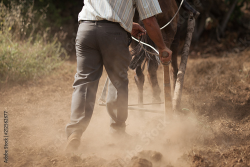 фотографія Farmer and horse plowing farmer field,guided by an elderly farmer while ploughin