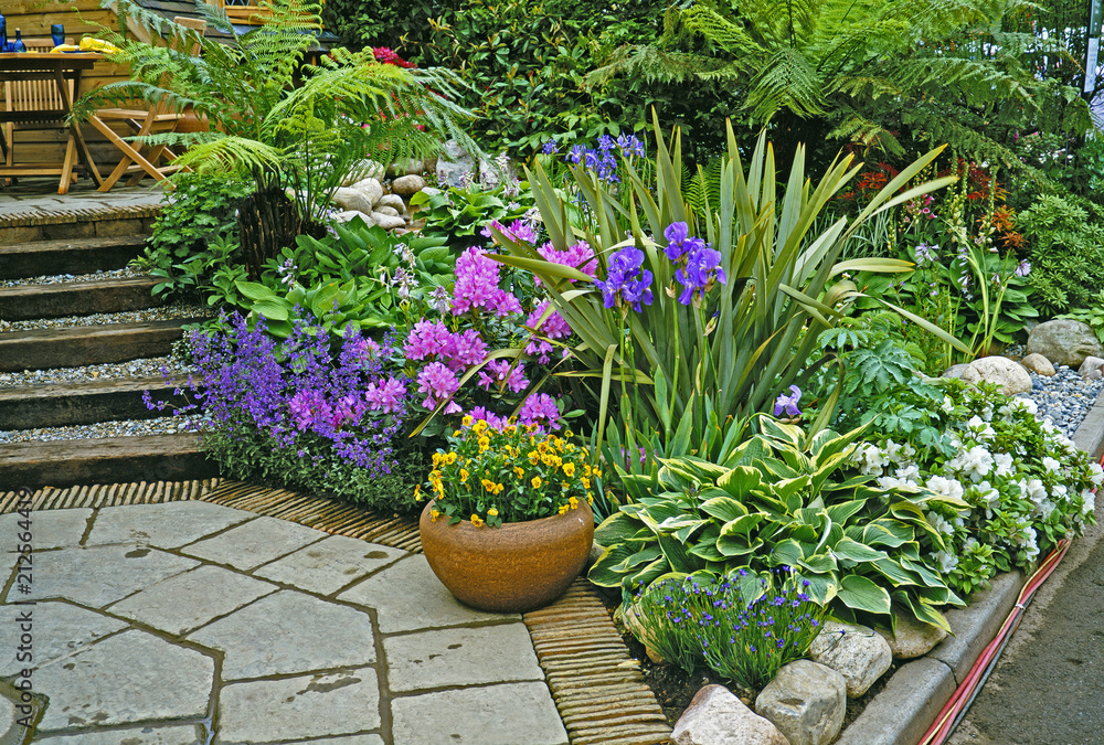 Colourful tropical Patio Garden with flowers and planted containers
