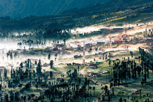 village and forest in morning fog on mountain