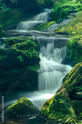 Venford Brook, Dartmoor, Devon, England © worldimage