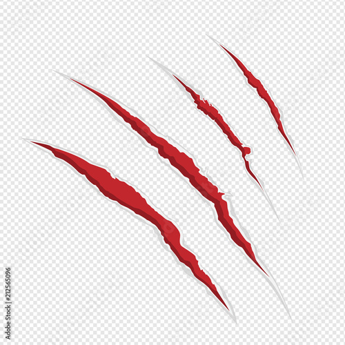 Claw scrathes vector