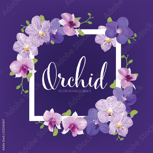 Fototapeta Naklejka Na Ścianę i Meble -  Floral frame with tropical orchid flowers on purple background template. Vector set of blooming floral for holiday invitations, greeting card and fashion design.