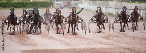 Foto Course hippique de trot