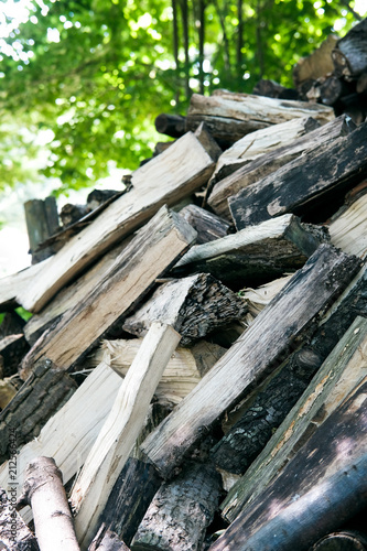 Fototapeta Naklejka Na Ścianę i Meble -  wood log pile