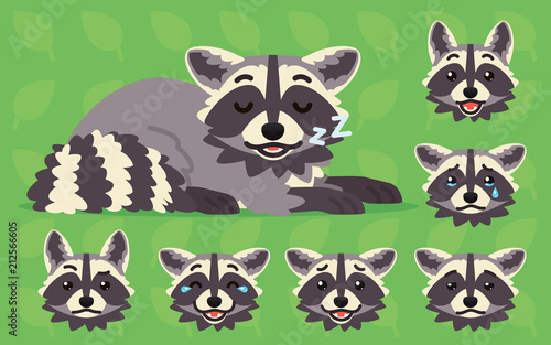Cute raccoon sleeping. Vector illustration of sleepy coon and its head sows different emotions on green background. Emoji. Emoticon. Grey racoon with striped tail in flat cartoon style. Set.