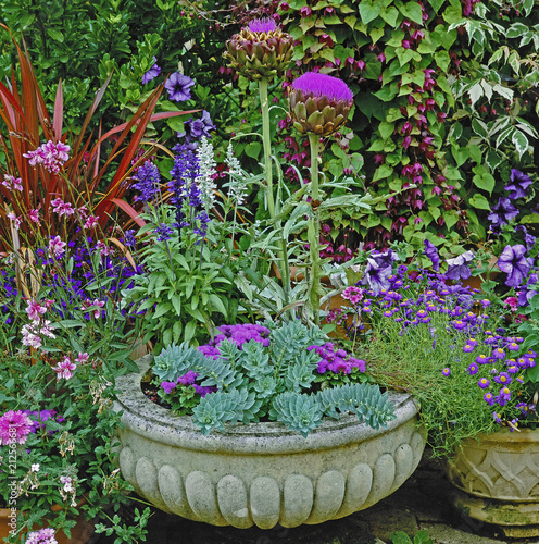 Mixed colourful Flowers planted in a classical stone Container o photo