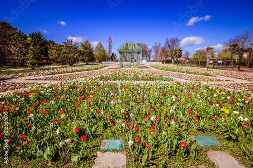 Die vielseitigen Blumengärten Hirschstetten mit vielen Themengärten, Palmenhaus und einen kleine ZOO in Wien an einem Frühlingstag photo