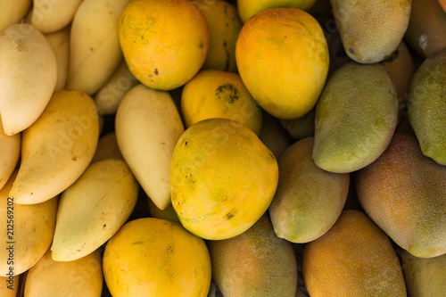 Fresh colorful tropical mangoes on display at outdoor farmers market photo