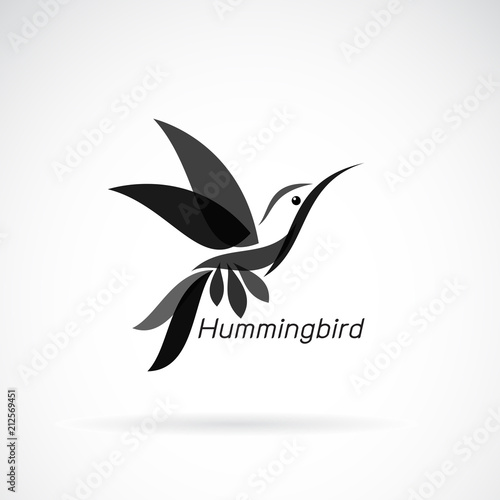 Vector of hummingbird design on white background., Wild Animals. Birds., Easy editable layered vector illustration.