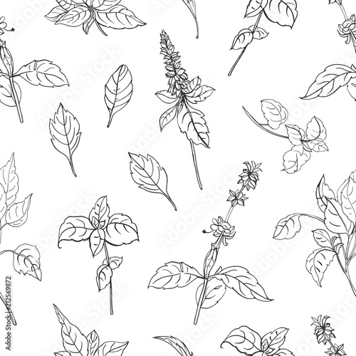 Natural seamless pattern with basil leaves and flowers hand drawn with black contour lines on white background. Backdrop with aromatic herb, plant cultivated for culinary use. Vector illustration. © Good Studio