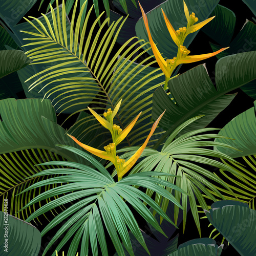 Obraz na płótnie moda plaża egzotyczny dżungla roślina