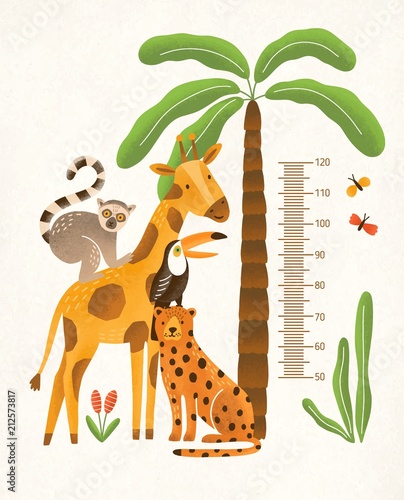 Children's height wall chart in centimeters decorated with tropical palm tree, jungle plants and funny cartoon exotic animals. Colorful vector illustration in flat style for kids growth measurement.