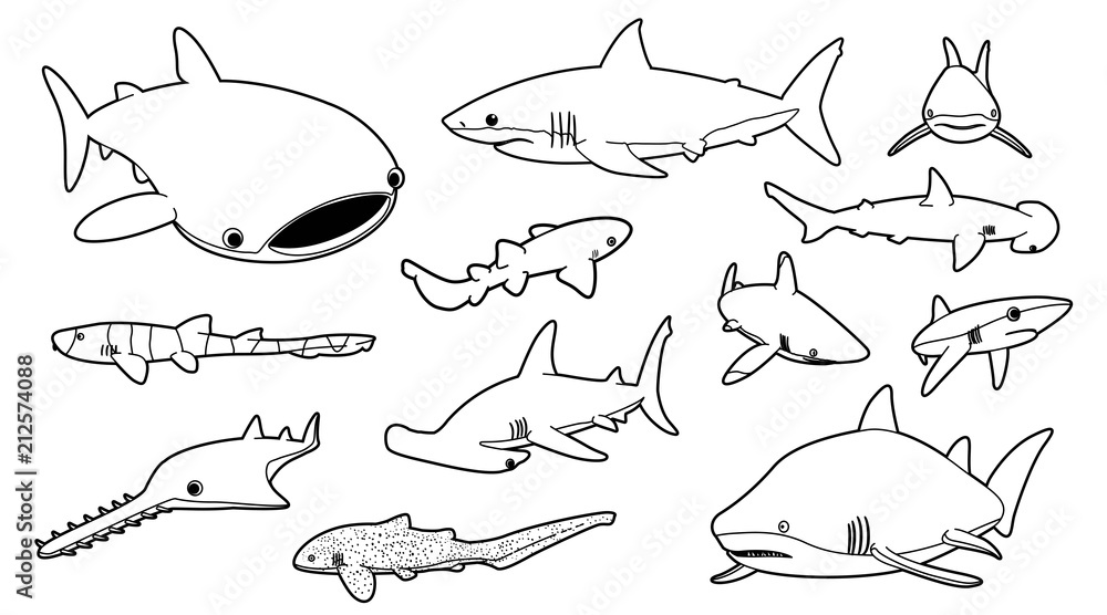 Naklejka premium Various Sharks Cartoon Vector Illustration Monochrome 2