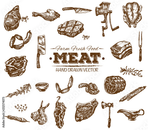 Collection of hand drawn meat sketch