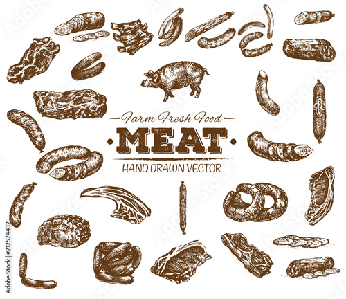 Collection of hand drawn meat sketch