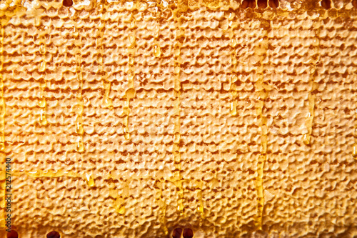 Honeycomb in a wooden frame