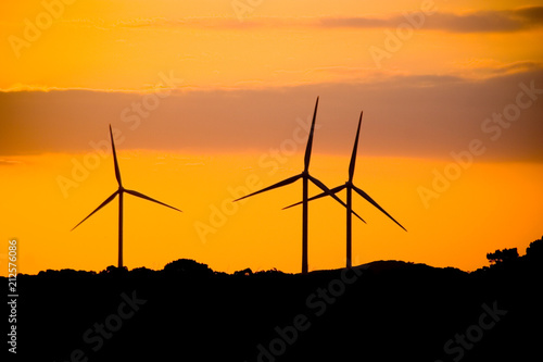 Wind Farm sunset