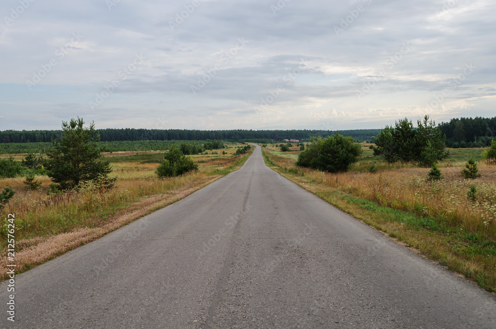Asphalt road in the country