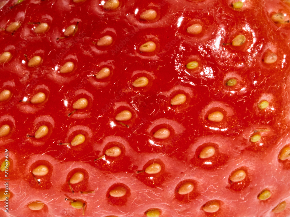 Fresh, beautiful, large strawberry berries photographed in macro close-up on white background Fresh, beautiful, large strawberry berries photographed in macro close-up on white background