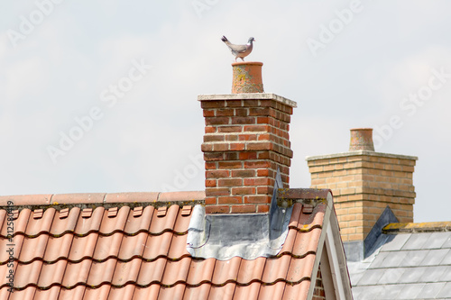 Billede på lærred Chimney stack. Urban housing estate house roof tops with pigeon.
