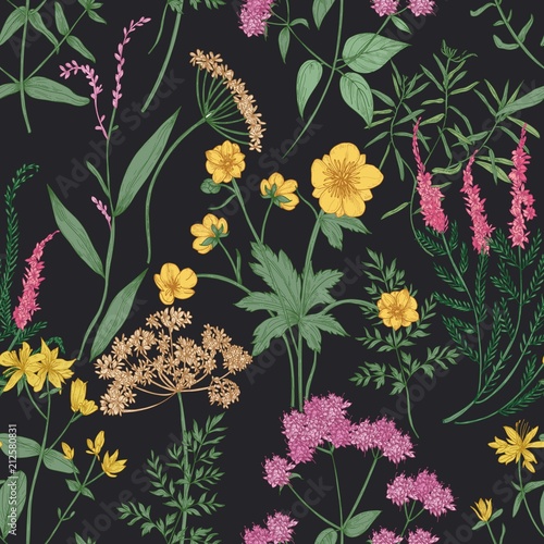 Natural seamless pattern with gorgeous wildflowers or blooming flowers and wild meadow flowering herbs on black background. Elegant hand drawn vector illustration for wrapping paper, fabric print.