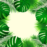 Tropical palm leaves background. Exotic jungle plants card. vector tropical design. Fresh nature backdrop in a trendy style. Bright colors. Beautiful green square frame. Palm leaf, monstera texture