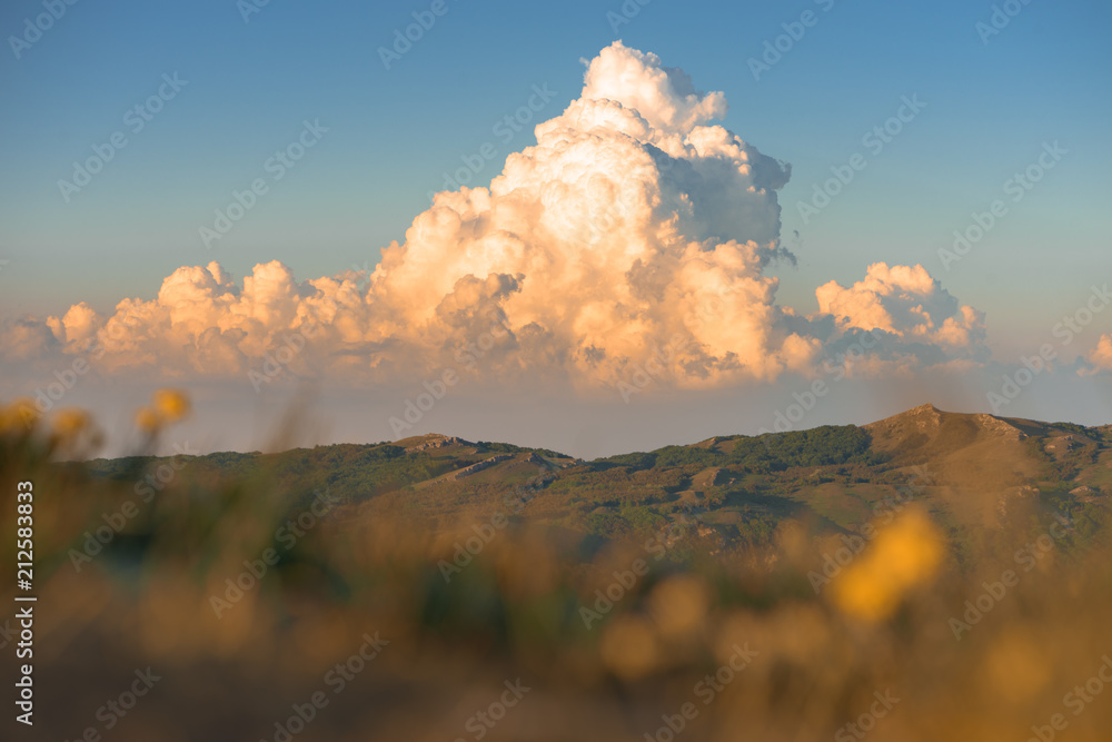 Picturesque cumulus storm cloud in the sky. Sunset colors. Nature landscape mountain forest. blurred meadow grass and yellow flowers in the foreground. Place for text - obrazy, fototapety, plakaty 