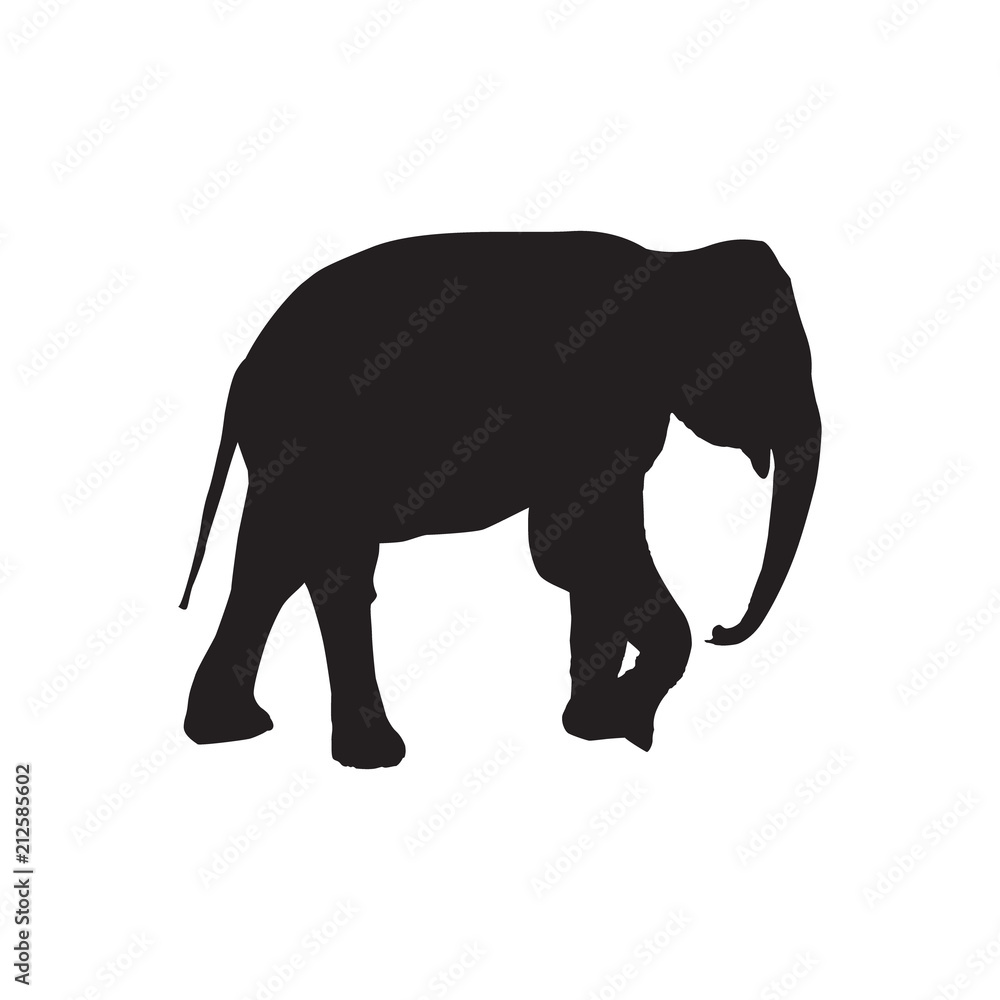 silhouette of an elephant silhouette of an elephant