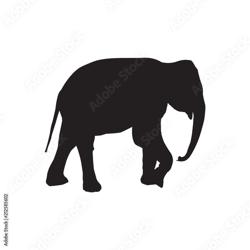 silhouette of an elephant