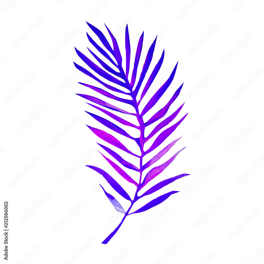 Obraz premium palm leaves background