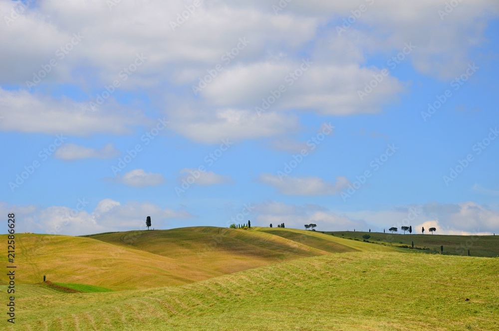 Beautiful landscape of hills, cypress trees and houses in Tuscany, Italy Beautiful landscape of hills, cypress trees and houses in Tuscany, Italy