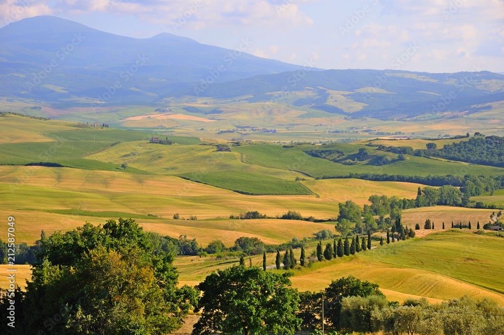 Obraz premium Beautiful landscape of hills, cypress trees and houses in Tuscany, Italy