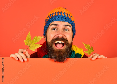 Man with beard holds green maple tree leaves.