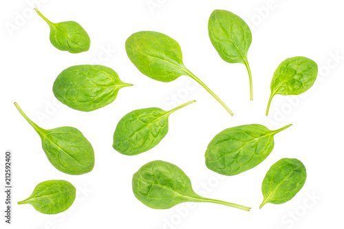 Fresh baby spinach leaves top view isolated on white background.