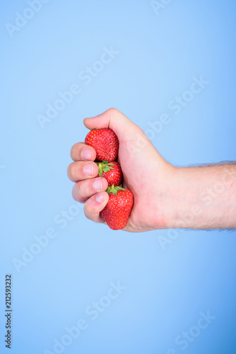 Producing fresh strawberry juice. Hand holds red sweet ripe berries blue background. Squeezing fresh strawberry juice. Fresh juice concept. Strawberries fresh gathered harvest in male fist close up