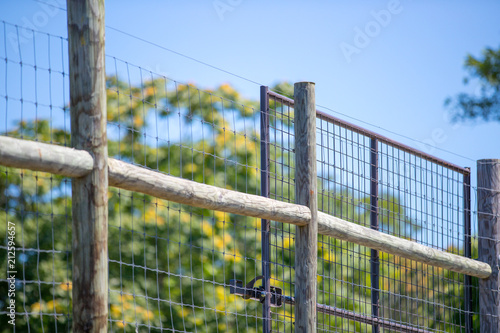 Close-up, view of a barbed-wire fence seen at the boundary of a dairy farm