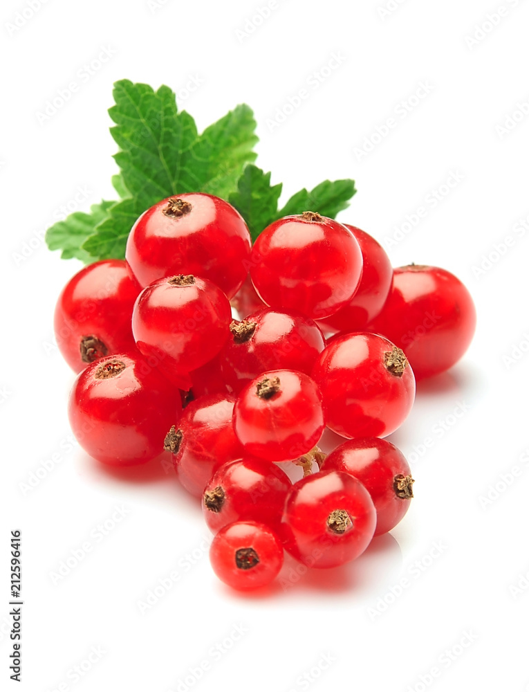 Red currants berry.