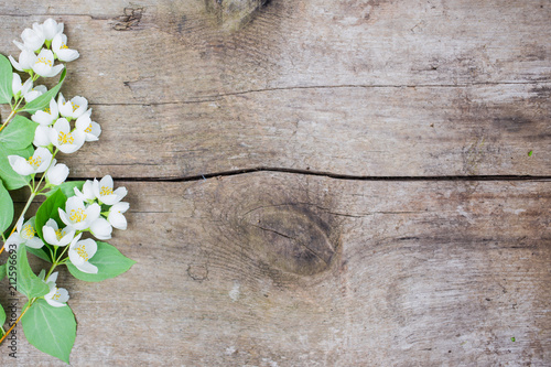 White flower or jasmine on the wood background