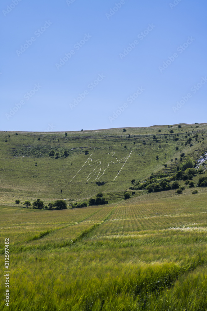 Fototapeta premium The ancient Long Man of Wilmington chalk hill figure