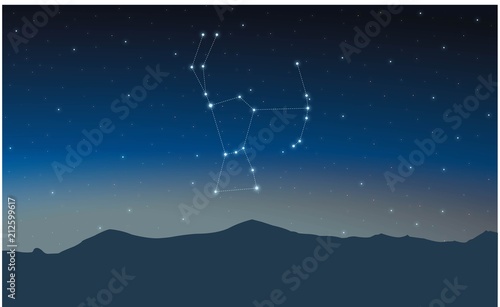 Constellation Orion