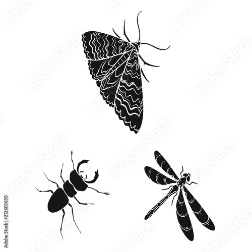 Different kinds of insects black icons in set collection for design. Insect arthropod vector isometric symbol stock web illustration.