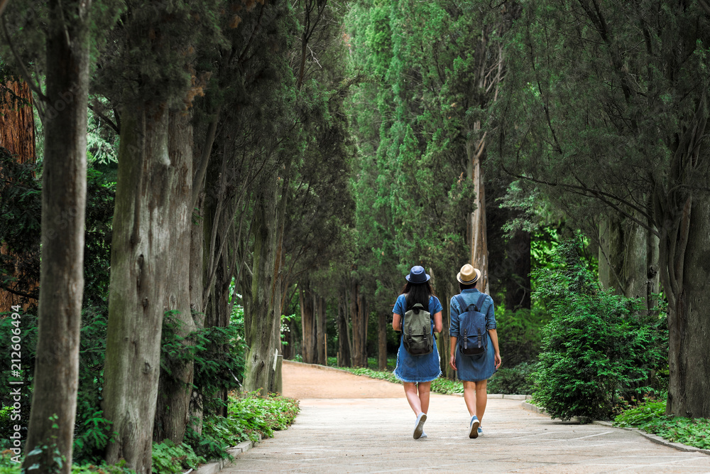Fototapeta premium Back view of two young beautiful brunette girls in jeans dresses and hats walk along the road of park with tall green trees.