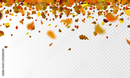 Stock vector illustration autumn falling leaves on transparent checkered background. Autumnal foliage fall and poplar leaf flying in wind motion blur. Orange design for autumn design EPS10